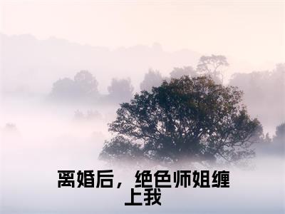 离婚后，绝色师姐缠上我（李玄大结局小说全集完整版）_（李玄小说）离婚后，绝色师姐缠上我全文阅读笔趣阁