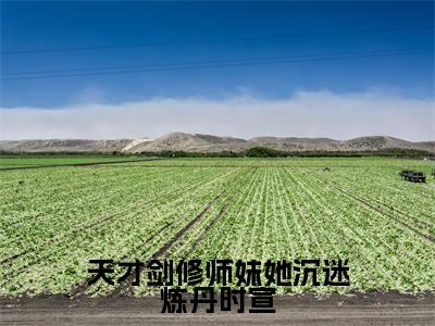 （天才剑修师妹她沉迷炼丹时宣抖音小说）时宣小说全文阅读免费
