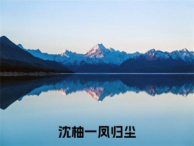 沈柚一凤归尘（沈柚一凤归尘）全文免费阅读无弹窗大结局_（沈柚一凤归尘无弹窗）沈柚一凤归尘最新章节列表阅读_笔趣阁