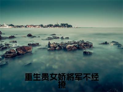 重生贵女娇将军不经撩（林婉棠薛景睿）全文免费阅读无弹窗大结局_重生贵女娇将军不经撩最新章节列表_笔趣阁（林婉棠薛景睿）