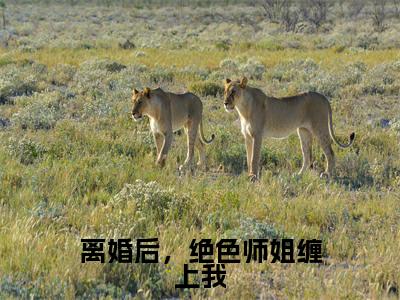 （热推新书）《离婚后，绝色师姐缠上我》李玄-热推李玄无弹窗阅读离婚后，绝色师姐缠上我在线阅读
