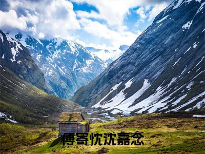 沈嘉念傅寄忱（傅寄忱沈嘉念全文免费阅读）无弹窗-沈嘉念傅寄忱（傅寄忱沈嘉念）完整版在线赏析笔趣阁