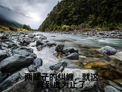 祝星遥傅闻夺（两辈子的纠缠，就这样到此为止了）全文免费阅读无弹窗大结局_祝星遥傅闻夺免费试读阅读全文无弹窗