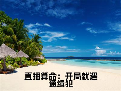 姜也（直播算命：开局就遇通缉犯）全文免费阅读-小说直播算命：开局就遇通缉犯最新章节阅读笔趣阁