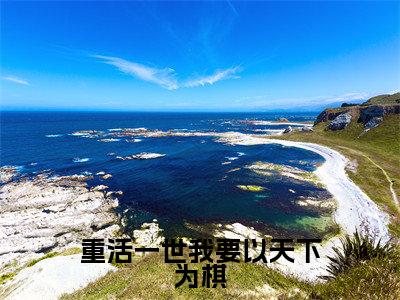 （沈嘉闵谢饶年）是什么小说-重活一世我要以天下为棋全文免费阅读无弹窗大结局（沈嘉闵谢饶年）最新章节列表