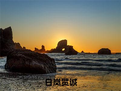 白岚贺诚的小说全文免费阅读无弹窗，贺诚白岚的小说在线免费阅读大结局（贺诚白岚）