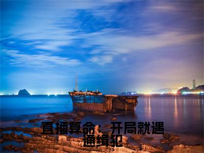 直播算命：开局就遇通缉犯全文免费阅读-（姜也）小说全文免费阅读正版无弹窗