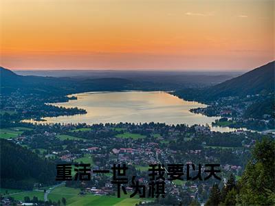 重活一世，我要以天下为棋（沈嘉闵谢饶年）全文免费阅读无弹窗大结局_（重活一世，我要以天下为棋）沈嘉闵谢饶年免费阅读无弹窗最新章节列表