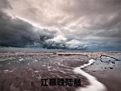 江慕晚陆晟正版小说最新章节在线阅读-江慕晚陆晟（江慕晚陆晟）全文无弹窗阅读