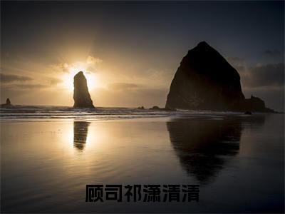 顾司祁潇清清小说（潇清清顾司祁）全文免费阅读_（潇清清顾司祁）顾司祁潇清清最新章节列表笔趣阁
