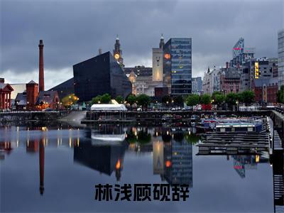 林浅顾砚辞（林浅顾砚辞）全文免费阅读无弹窗大结局_林浅顾砚辞（林浅顾砚辞）最新章节列表