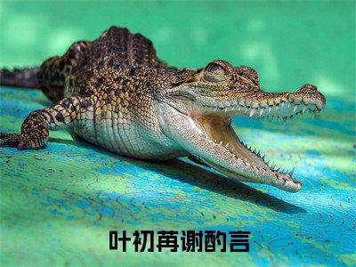 叶初苒谢酌言（谢酌言叶初苒）全文免费阅读无弹窗大结局_谢酌言叶初苒免费最新章节列表_笔趣阁