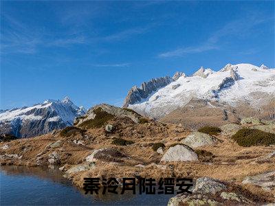 秦泠月陆缙安（陆缙安秦泠月）全文免费阅读无弹窗大结局_秦泠月陆缙安最新章节列表_笔趣阁