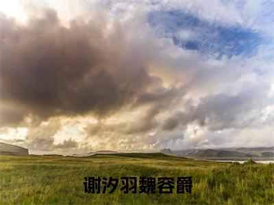 谢汐羽魏容爵小说（谢汐羽魏容爵）无弹窗大结局-谢汐羽魏容爵（谢汐羽魏容爵）完整版免费阅读