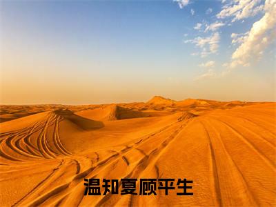 温知夏顾平生全文免费阅读无弹窗大结局_顾平生温知夏最新章节列表笔趣阁