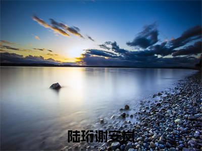 陆珩谢安岚全本资源免费阅读结局无删节-谢安岚陆珩小说全文阅读无弹窗（陆珩谢安岚）
