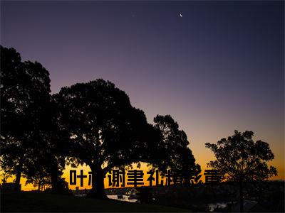 大叔追妻手段高，小甜妻逃不掉小说免费（ 叶柠谢聿礼）全文免费阅读无弹窗-大叔追妻手段高，小甜妻逃不掉小说全文免费阅读-笔趣阁