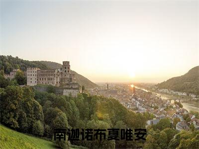 南迦诺布夏唯安最新章节（夏唯安南迦诺布）全文免费阅读无弹窗大结局_夏唯安南迦诺布南迦诺布夏唯安全文免费阅读