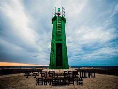 字字句句，皆是血和泪的申诉月惜小说月惜灏璟无弹窗免费阅读-最新小说字字句句，皆是血和泪的申诉月惜（月惜灏璟）全文阅读