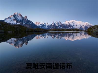 夏唯安南迦诺布免费小说南迦诺布夏唯安全文完整版阅读