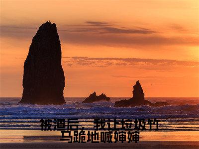 被渣后，我让垃圾竹马跪地喊婶婶（叶芊芊谢辞年）全文免费阅读无弹窗大结局_被渣后，我让垃圾竹马跪地喊婶婶（叶芊芊谢辞年）全文阅读_笔趣阁