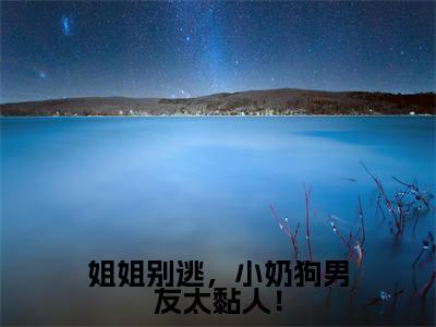 莫禧婧彦子维全文免费阅读大结局-姐姐别逃，小奶狗男友太黏人！结局免费阅读