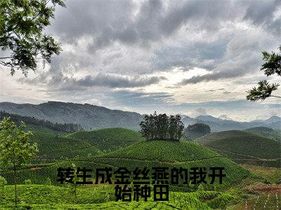 小说转生成金丝燕的我开始种田（燕鸿全文免费阅读）完结阅读_燕鸿全文免费阅读免费看全文