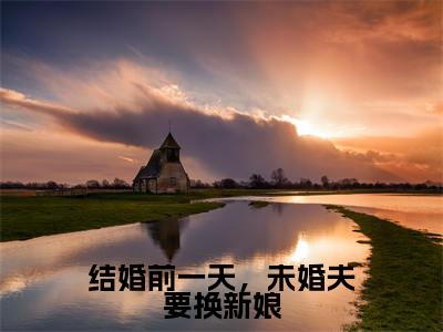 贺鸿郭婷（结婚前一天，未婚夫要换新娘）全文免费阅读无弹窗大结局_贺鸿郭婷小说全文大结局