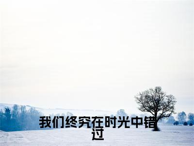 程言诺宋云词（我们终究在时光中错过）全文免费阅读无弹窗_程言诺宋云词我们终究在时光中错过最新章节免费阅读_笔趣阁