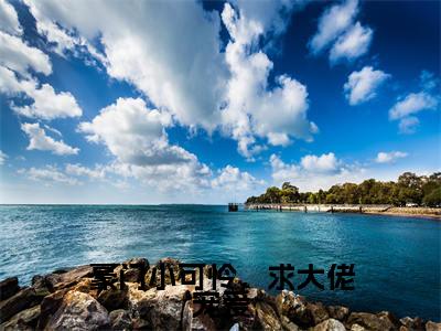 豪门小可怜，求大佬宠爱小说（宋辞温如枳）小说全文无删减版在线阅读_宋辞温如枳小说最新章节列表