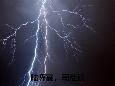 陆怀宴，司徒玖司徒玖，陆怀宴最新章节免费阅读-陆怀宴，司徒玖小说推荐司徒玖，陆怀宴精彩章节在线阅读