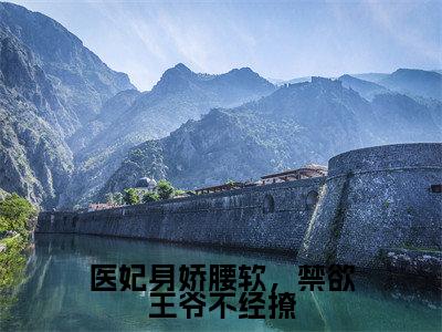 萧宴玄沈青黎小说完整版阅读-医妃身娇腰软，禁欲王爷不经撩小说全文无删减版