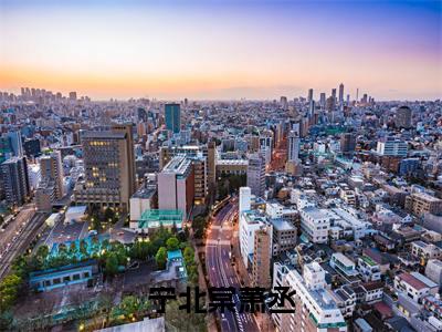 宁北棠萧丞（萧丞宁北棠）全文免费阅读无弹窗大结局_宁北棠萧丞全文完整无删减版免费阅读