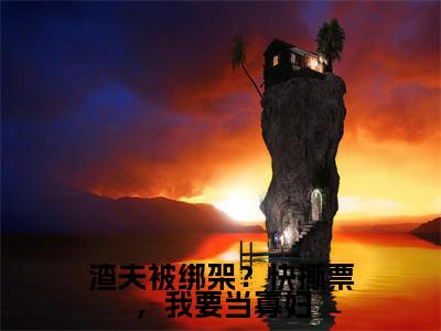 渣夫被绑架？快撕票，我要当寡妇（沈绥宁江暮寒全文免费大结局）在线阅读-沈绥宁江暮寒全文无删减免费赏析