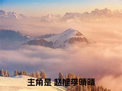 （热推新书）女神的超级赘婿全文免费阅读无弹窗大结局-热推 赵旭李晴晴无弹窗阅读女神的超级赘婿在线阅读