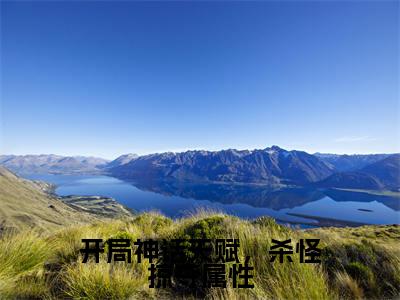 开局神话天赋，杀怪掠夺属性（苏白）小说精彩免费内容_开局神话天赋，杀怪掠夺属性（苏白）最新章节全文阅读大结局