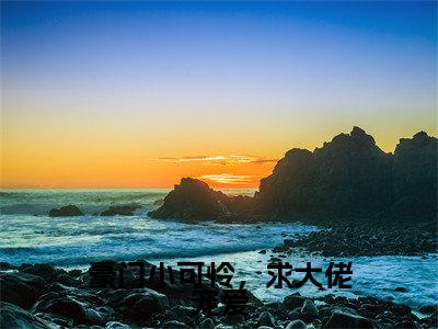 豪门小可怜，求大佬宠爱小说（温如枳宋辞）全文免费阅读无弹窗大结局_温如枳宋辞小说最新章节列表_笔趣阁