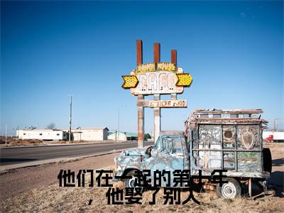 （番外）+（全文）他们在一起的第十年，他娶了别人小说免费下载阅读_（他们在一起的第十年，他娶了别人）许洛枝顾砚钦最新章节列表_笔趣阁（许洛枝顾砚钦）