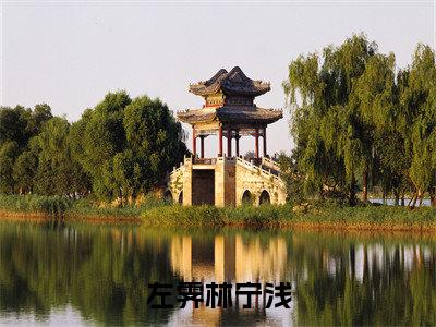 左霁林宁浅（林宁浅左霁）全文免费完结版阅读_（林宁浅左霁）左霁林宁浅最新章节列表笔趣阁