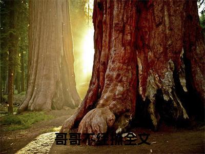 哥哥不经撩（ 苏念意叶语姝小说）全文免费阅读无弹窗大结局_哥哥不经撩最新章节列表_笔趣阁（ 苏念意叶语姝小说）