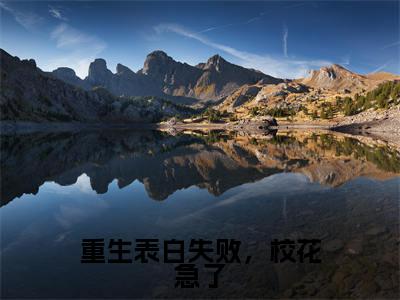 重生表白失败，校花急了（周晨刘思颖）全文免费阅读无弹窗-周晨刘思颖小说完整版在线阅读