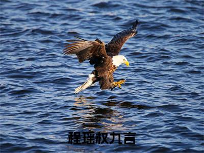权九言程瑶全文免费阅读大结局-程瑶权九言最新章节列表-笔趣阁