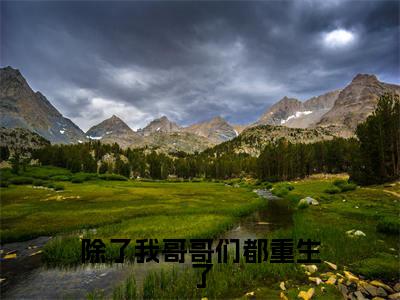 小说傅星河（除了我哥哥们都重生了小说免费阅读）完结阅读，傅星河在线阅读