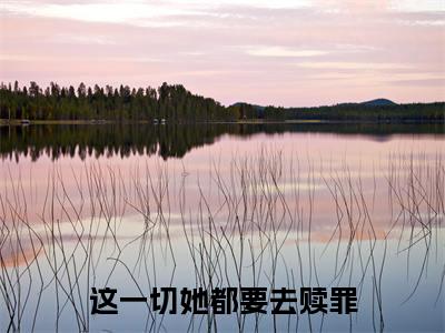 沈思苒傅庭渊全文免费阅读-这一切她都要去赎罪最新章节小说免费阅读