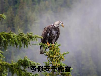 岑修安千希雪（千希雪岑修安）全文免费阅读无弹窗大结局_岑修安千希雪最新章节列表-笔趣阁千希雪岑修安