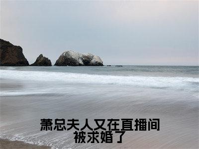 萧总夫人又在直播间被求婚了小说全文免费阅读无弹窗大结局-萧云霆叶澜免费阅读无弹窗