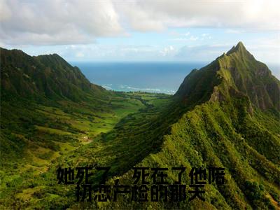 她死了，死在了他陪初恋产检的那天无广告免费阅读-小说叶舒月孟祁川最后结局如何