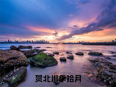 小说（贺北川季拾月）免费阅读-小说（季拾月贺北川）贺北川季拾月全文在线赏析最新章节列表_笔趣阁