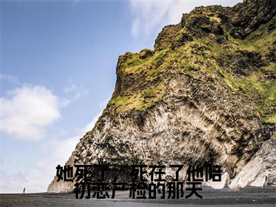 叶舒月孟祁川是哪部小说的主角，她死了，死在了他陪初恋产检的那天全文无弹窗完整版阅读