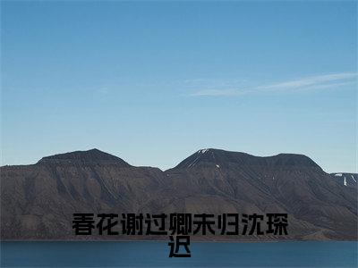 春花谢过卿未归沈琛迟（宋云谣沈琛迟）小说全文无删减版_春花谢过卿未归沈琛迟最新章节列表_笔趣阁（宋云谣沈琛迟）